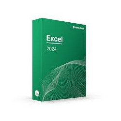 2024 Excel licence