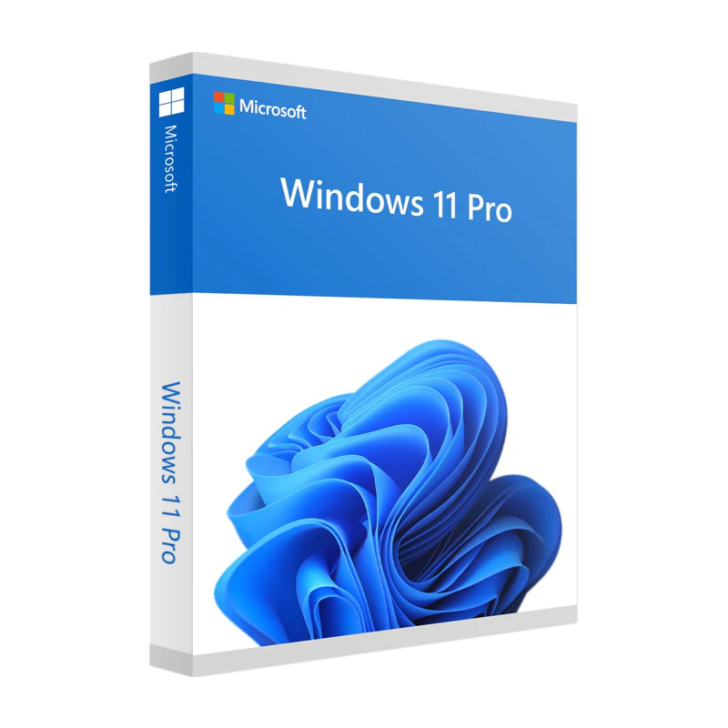 Windows 11 Professional OEM Key