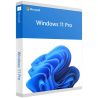 Windows 11 Professional OEM Key